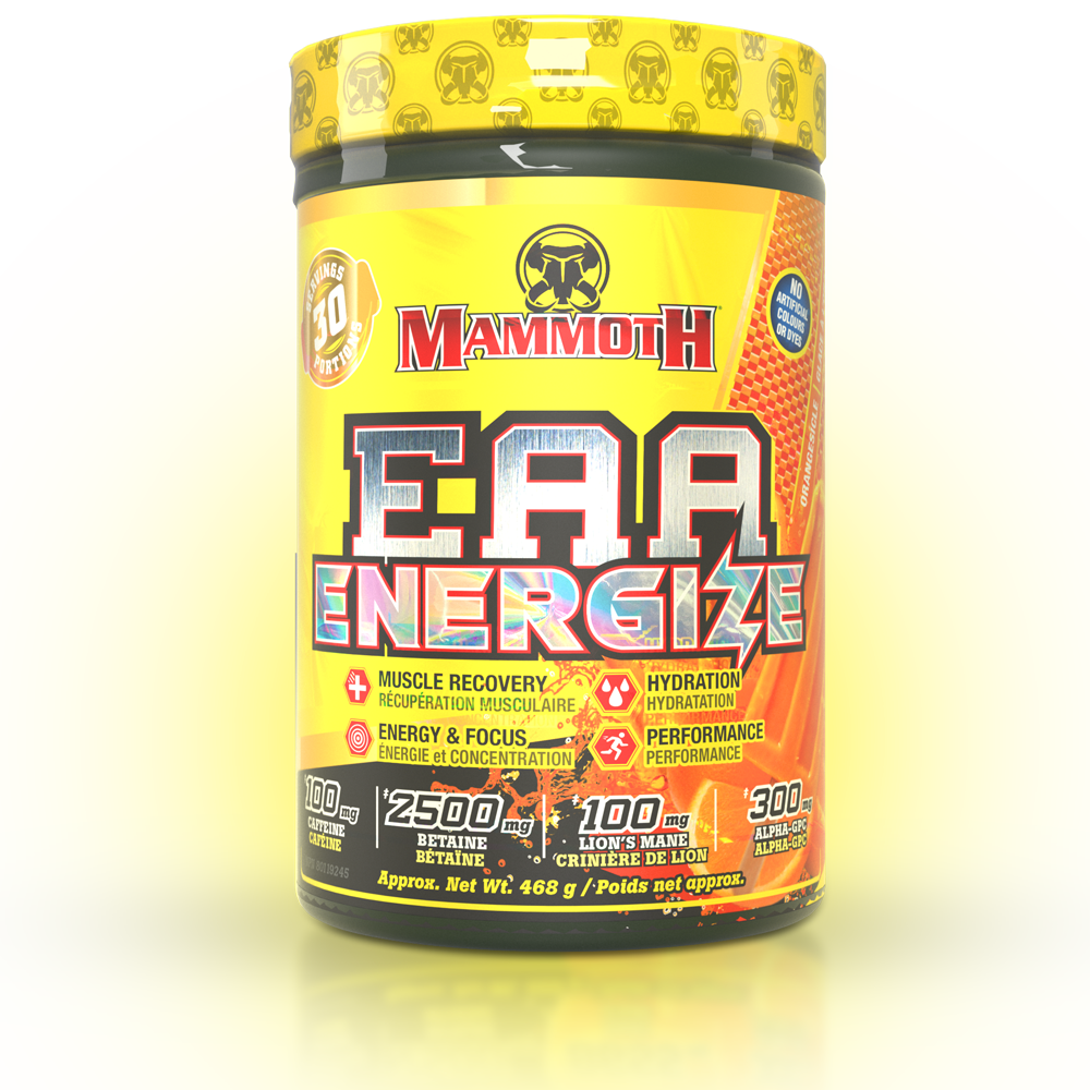 EAA ENERGIZE