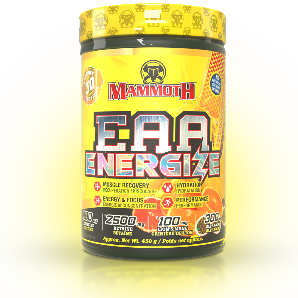 EAA ENERGIZE