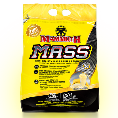 MASS - Weight Gainer