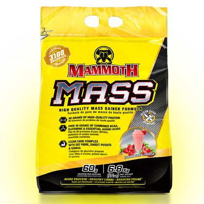 MASS - Weight Gainer