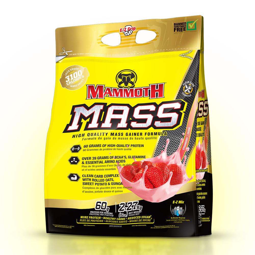 MASS - Weight Gainer