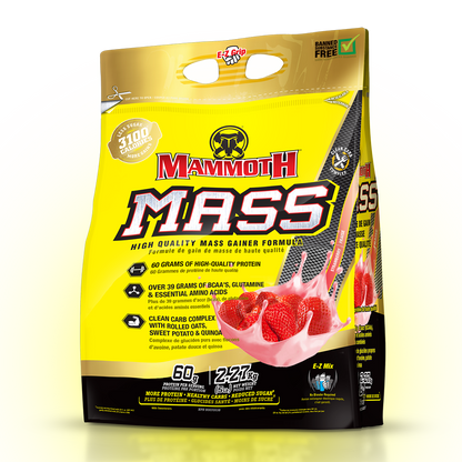 MASS - Weight Gainer