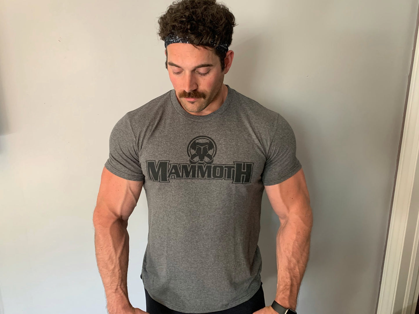 :: MAMMOTH ORIGINAL T