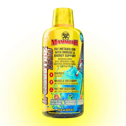 L-CARNITINE | Fat Loss